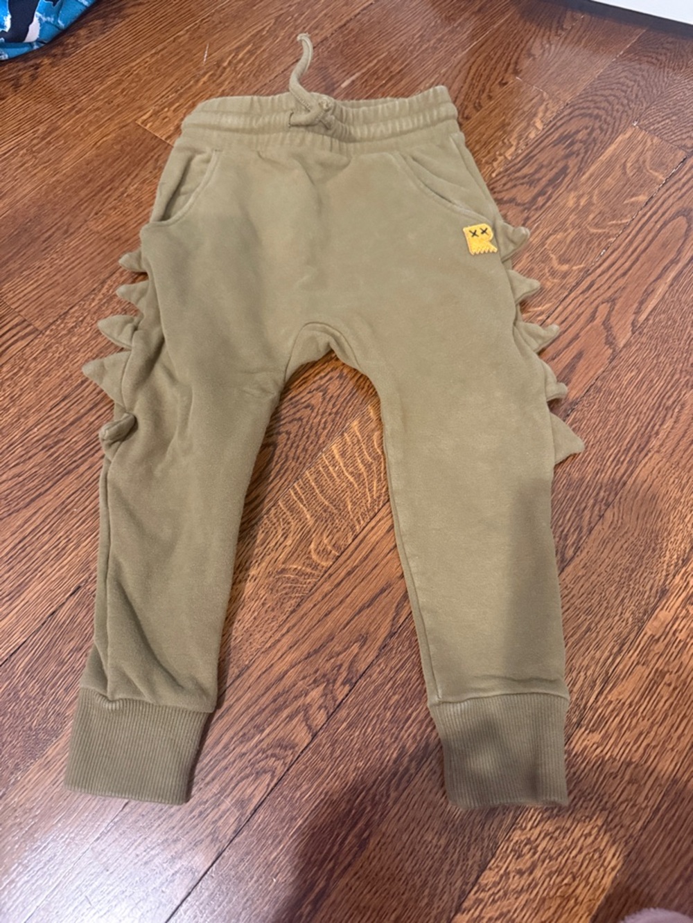 Rock Your Kid Dinosaur Joggers